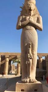 STAGE DE YOGA Samedi 21/3/26 Auberge de jeunesse Cherbourg